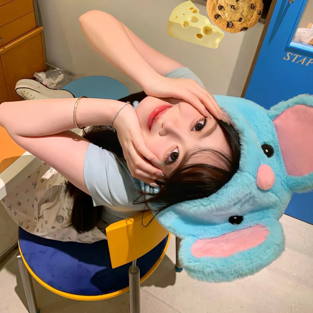 琥珀的短暂一生